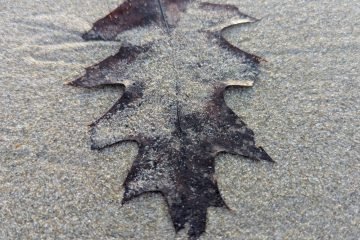 PXL_20260621_095407227