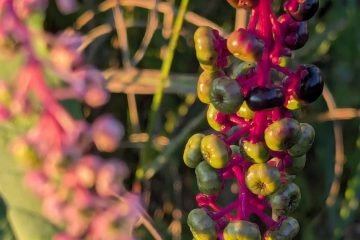 PXL_20260906_230922673