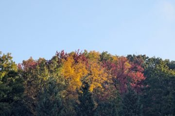 PXL_20261014_121312569
