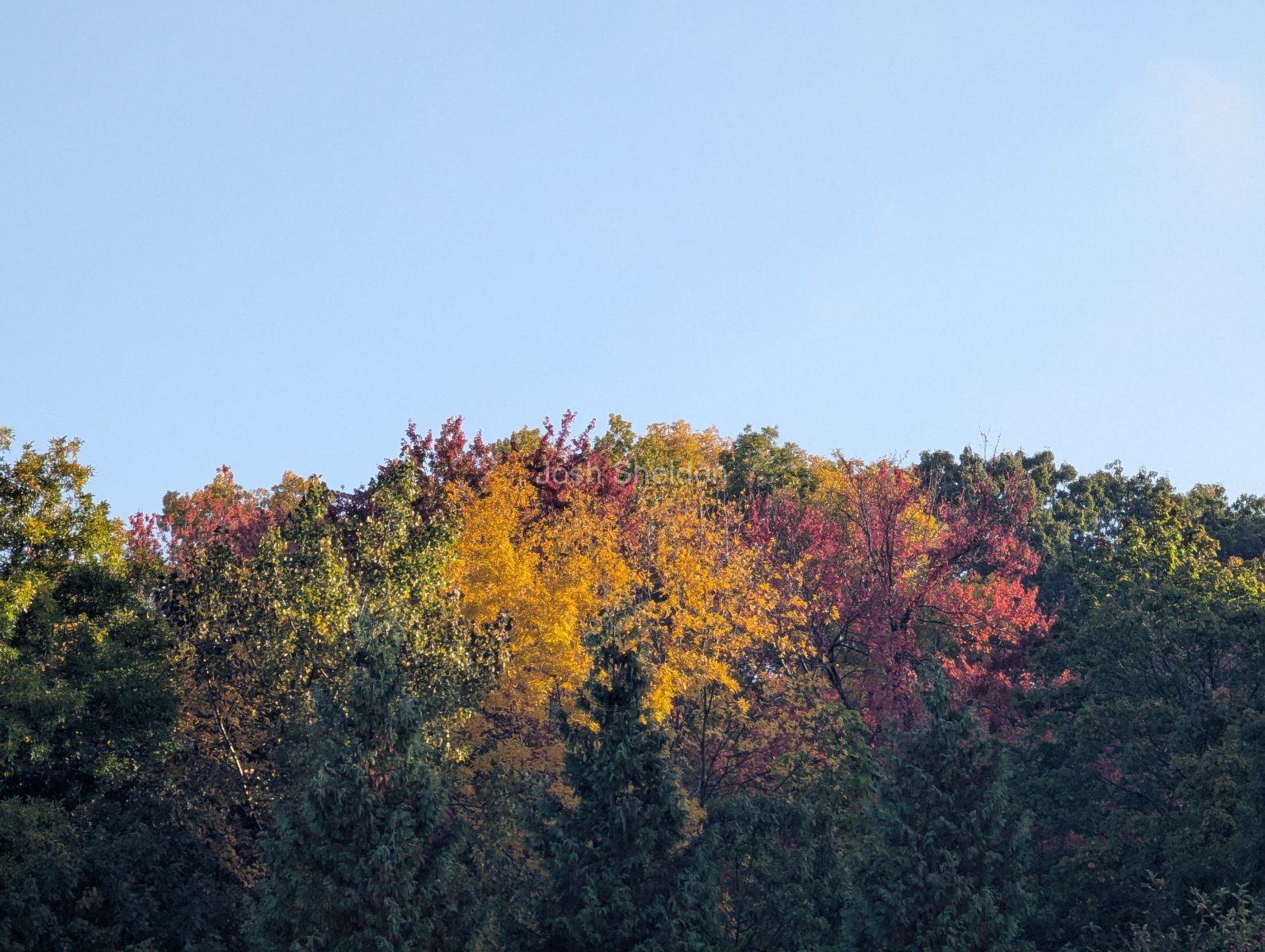 Fall Colors
